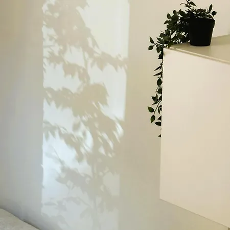 Avia Loft
